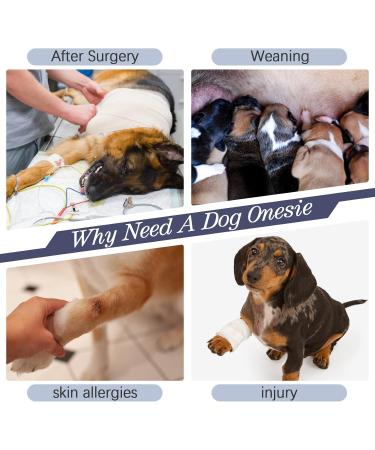 Kuoser Dog Medical Body Suit - Post-Op Recovery Pajamas for Dogs - Anti-Licking Wound Protection - Size S Blue - Buy Online on GoSupps.com