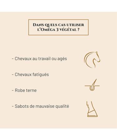 PRINCE EQUIN - OMEGA 3 VEGETAL - Horse nutritional supplement - Linseed oil and seaweed oil rich in omega 3 - Bottle 250 ml - Horse condition recovery - Shine of the dress - French brand - Buy Online on GoSupps.com