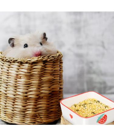 Ceramic Rat, Hamster, Rabbit, Guinea Pig Food Bowl Set - 2pcs, Cute Plates, Water Dish for Bunny, Gerbil, Ferret, Chinchilla - Buy Online on GoSupps.com