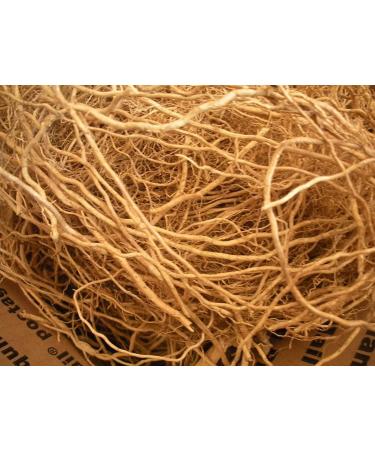 ORGANIZE Food Herbs Dried Vetiver Roots KhusKhus Vetiveria zizanioides Ramacham 50 GMS - Buy Online on GoSupps.com