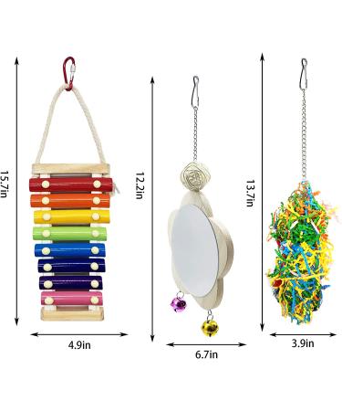EBaokuup 3PCS Chicken Toys: Xylophone, Mirror, Bell & Foraging Shredder Toys - Best for Chicks, Hens, Parrots - Suspensible & Durable - Buy Online on GoSupps.com