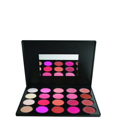 20-Piece Professional Blush Contour Palette