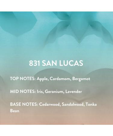 Michael Malul KTORET 831 San Lucas Eau de Parfum for Men - 100ml | 3.4oz 1 Fl Oz (Pack of 1) - Buy Online on GoSupps.com