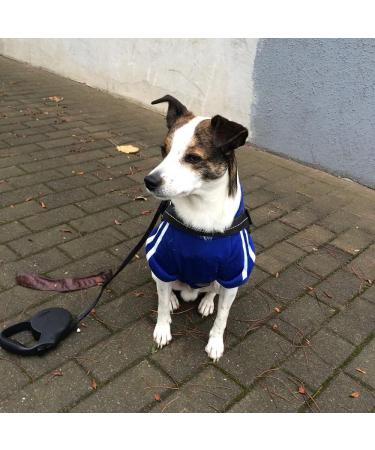 EASTLION Pet Puppy Dog Cat Coat Clothes Hoodie Sweater Costumes Black L L Black - Buy Online on GoSupps.com