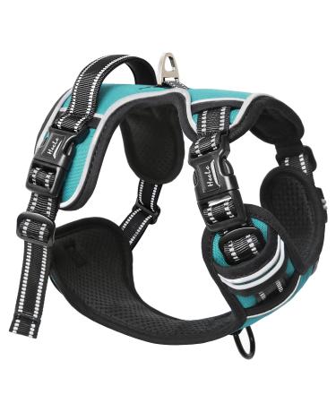 Heele dog crockery without train breast tableware for small dog adjustable reflective dog dishes breathable dog harness with padded handle no-pull dog harness turquoise XS XS-breast circumference: 33-43cm uni-Turkis - Buy Online on GoSupps.com