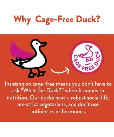 Shameless Pets Duck-Tato Jerky Dog Treats All Natural Duck Jerky Treats for Digestive Health Duck/Sweet Potato - 142 g Jerky Bites - Buy Online on GoSupps.com