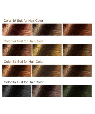 Magical Fluffy Thin Hair Powder - Root Cover Up & Gray Coverage 4g (Carrot 03) - Buy Online on GoSupps.com