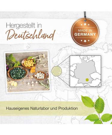 B rbel Drexel Brain Active Tablets - 100% Vegan Brahmi & Lecithin | Boost Concentration & Memory | Ayurveda - 90 STK - Buy Online on GoSupps.com