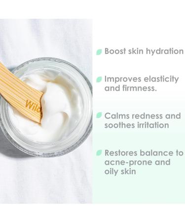 WildMint Glow to Bed Natural Facial Night Cream | Hydrating Moisturiser for Dry Menopause & Mature Skin | Anti-Aging Skin Care with Hyaluronic Acid | UK Vegan Face Cream for Sensitive Skin 50ml - Buy Online on GoSupps.com