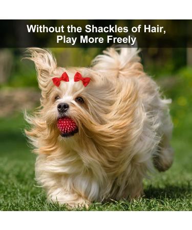 Janinka 36-Piece Dog Hair Bows | Butterfly & Flower Pearls | Elastic Ties for Pets Grooming - Buy Online on GoSupps.com