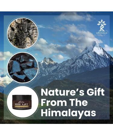 AZ BIOTECH Pure 100% Himalayan Shilajit Soft Resin Organic Extremely Potent Fulvic Acid (1.76 oz.) - Buy Online on GoSupps.com