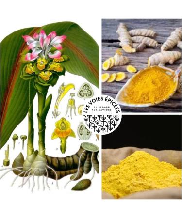 TURMERIC ZEDOAIRE -100g - White Turmeric - Buy Online on GoSupps.com