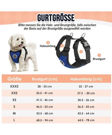 Slowton No Pull Dog Harness - Soft Padded & Breathable for Small to Medium Dogs - Blue Safety Harness - Buy Online on GoSupps.com