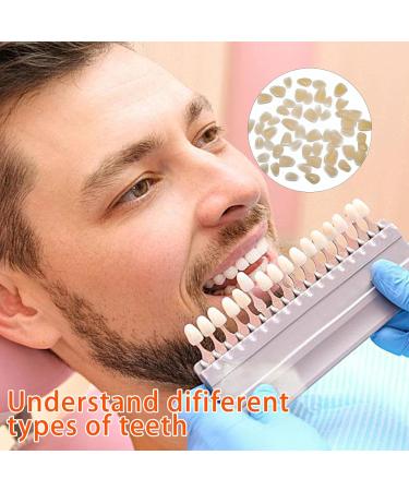 Karjiaja Temporary Tooth Repair Set | Instant Dental Filling for Dentures & Veneers | 50g Tooth Granules & 50 Flaps | International Shipping Available - Buy Online on GoSupps.com