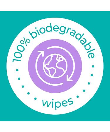 Nice 'N Clean SecureFLUSH Adult Flushable Wipes with Aloe & Vitamin E | 42 Count x 6 Packs - Buy Online on GoSupps.com