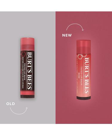 Burt's Bees Shimmer Lip Tint Set Tinted Lip Balm Stick & Lip Tint Balm with Long Lasting 2 in 1 Duo Tinted Balm Formula - Buy Online on GoSupps.com