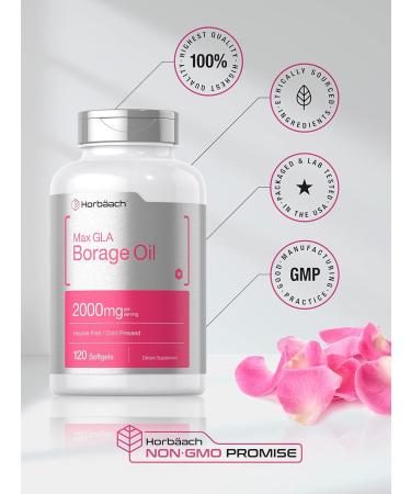 Horb ach Borage Oil Capsules 2000 mg | 120 Softgels | 320mg of GLA | Cold Pressed Seed Oil Supplement - Buy Online on GoSupps.com