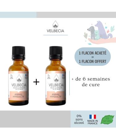  VELBECIA Velbecia - Dr Bach's Flowers Hyperactive Animal 30ml +1 FREE - ALCOHOL FREE - So your pet is less agitated more attentive t - Buy Online on GoSupps.com
