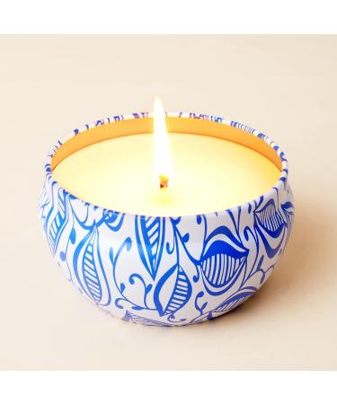 La Jol e Muse Citronella Candle Set of 2 - 185g Soy Wax Outdoor Candles with Citronella Oil | 35-45 Hours Burn Time | Perfect Candle Gift Set - Buy Online on GoSupps.com