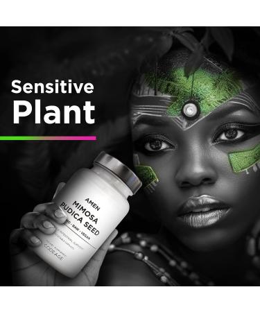 Organic Mimosa Pudica Seed Capsules - 2 Month Supply - Vegan Supplement - Non-GMO - 120 Capsules - Buy Online on GoSupps.com