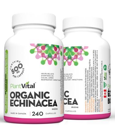 PlantVital Echinacea capsules 500mg Source of Vitamin C and Zinc Treatment for respiratory tract infections Helps relieve cold symptoms 240 capsules Vegan non-GMO. Made in Canada. 240 count (Pack of 1) - Buy Online on GoSupps.com