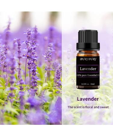 Lavender and Eucalyptus Essential Oil Gift Set - 100% Pure, Undiluted, Organic Aromatherapy Oils (10MLx2) - Buy Online on GoSupps.com