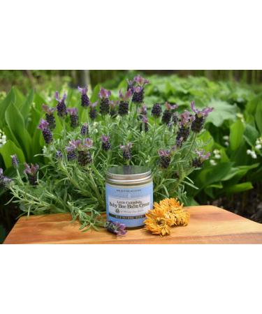 Organic Baby Bee Balm Cream - Little Calendula 2 oz | All-Natural Skincare for Babies - Buy Online on GoSupps.com