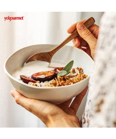 Yogourmet Freeze Dried Yogurt Starter - 0.6 Oz - Pack of 1 - Buy Online on GoSupps.com