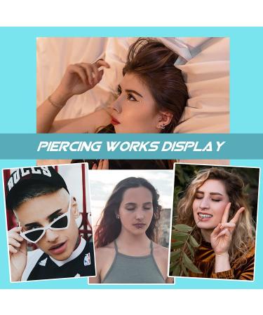 Piercing Kit - Professional 34pcs Body Piercing Set with Jewelry and Needles | 14G 16G Piercing Needles Clamps for Nose Lip Eyebrow Ear - Buy Online on GoSupps.com