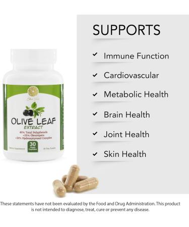 Olive Leaf Extract - 500mg - Supplement Standardized to 25% Oleuropein - 20% Hydroxytyrosol - 40% Polyphenols - Non-GMO + Gluten Free + Dairy Free + Soy Free + Vegan (30 Capsules) - Buy Online on GoSupps.com