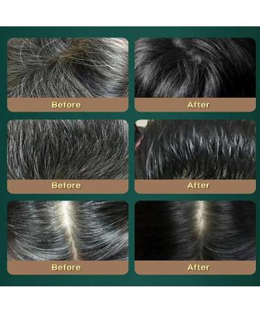 Black Ganoderma Polygonum Shampoo Dr. Wen Black Ganoderma Polygonum Multiflorum Shampoo Black Lingzhi Polygonum Polygonum Shampoo Herbal Ganoderma Polygonum Multiflorum Shampoo (1PCS) - Buy Online on GoSupps.com