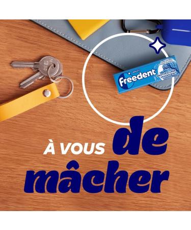 FREEDENT - Sugar-free Frosted Mint Chewing Gum - Large format containing 30 packs of 10 dragees - 420g - Buy Online on GoSupps.com