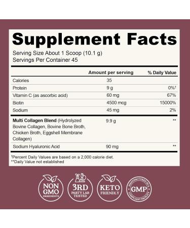 Multi Collagen Peptides Powder Types I II III V X Multi Collagen Protein Powder with Hyaluronic Acid Biotin Vitamin C For Skin Hair Nails Joints and Gut Health - Keto Non-GMO Supplement 1 Pound (Pack of 1) - Buy Online on GoSupps.com