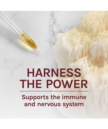 Host Defense Lion's Mane Extract 2 fl oz - Promotes Mental Clarity, Focus, and Memory - Mushroom Supplement - Buy Online on GoSupps.com