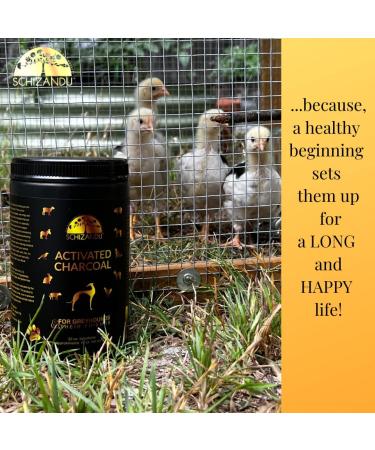 Organic Activated Charcoal Powder for Pets - Digestive Aid, Detox, Dental Health & Kidney Relief - 10 oz - Buy Online on GoSupps.com