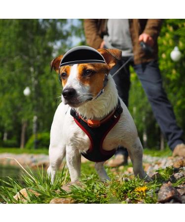 Dog Helmet And Goggles Set Pet Helmet And Goggles For Dogs Dog Sunglasses Adjustable Dog Hats Head Guard For Small Medium And Large Dogs S//L S code sports helmet +02 black - Buy Online on GoSupps.com