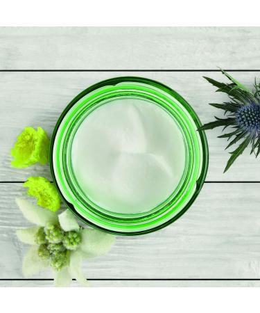 The Body Shop Drops Of Youth Cream 50 ml - Revitalize Your Skin | International Shipping Available - Buy Online on GoSupps.com
