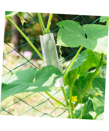 4pcs Shaped Growth Mold Fruit Molds Cucumber Shaping Heart Fruit Growth Mold Pumpkin Molds for Cucumber Molds for Garden Cookie Decorating Tools Cucumbers Plastic Shaper Star Shape - Buy Online on GoSupps.com
