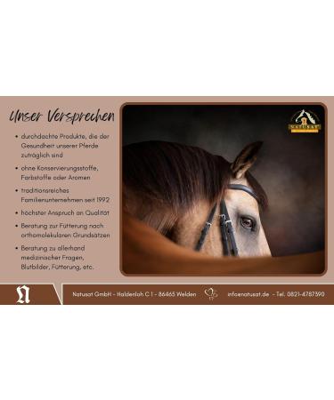 Natusat Aqua Plus 1000 ML Puissance bers uerung Chevaux Muscles Chevaux - Buy Online on GoSupps.com