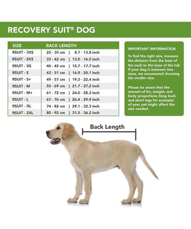 Suitical Original Recovery Suit - Professional Alternative to Dog Cone for Medium Dogs - Black - Buy Online on GoSupps.com