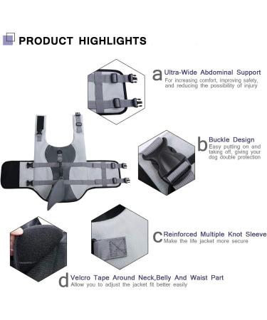 Buy Cit toile Dog Life Jacket - Lightweight & Safe Water Sports Vest for Small to Large Dogs | Reflective Handle Shark Design - Buy Online on GoSupps.com