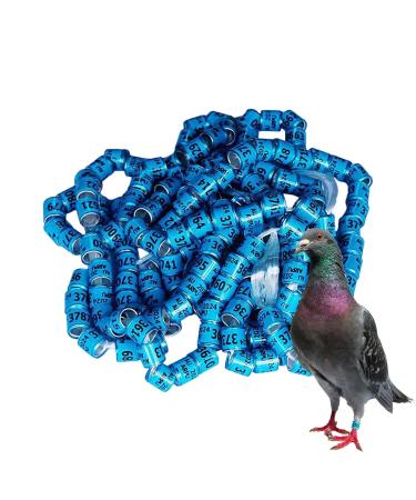 50 Pcs Multicolored Aluminum Pigeon & Chicken Leg Rings - Bird Identification Foot Rings for Training & Accessories - Buy Online on GoSupps.com