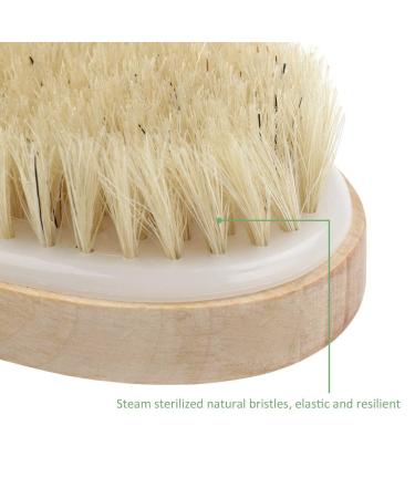 Onwon Dry Brushing Body Brush - Anti Cellulite Exfoliating Scrub for Smooth Skin, Lymphatic Drainage & Improved Circulation - Buy Online on GoSupps.com