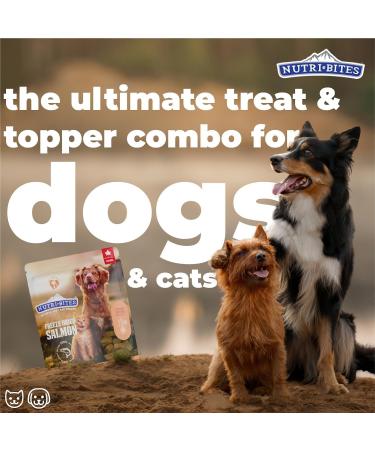 NutriBites Freeze Dried Salmon Dog & Cat Treats 18.3 oz | Healthy Pet Training Treats or Food Topper | All Natural 1 Single Animal Protein High Protein | Premium Bulk Value Pack 520g Salmon 1 count (Pack of 1) - Buy Online on GoSupps.com