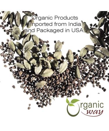 Organic Green Cardamom Pods - USDA Certified, Non GMO, Gluten Free - 4oz - India-Origin - 1 Count - Buy Online on GoSupps.com