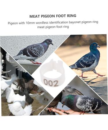 Levemolo 100 Pcs Pigeon Anklet African Grey Parrot Leg Ring Charms Plastic Poultry Pen Drumstick White 1.3X1.3CM White - Buy Online on GoSupps.com