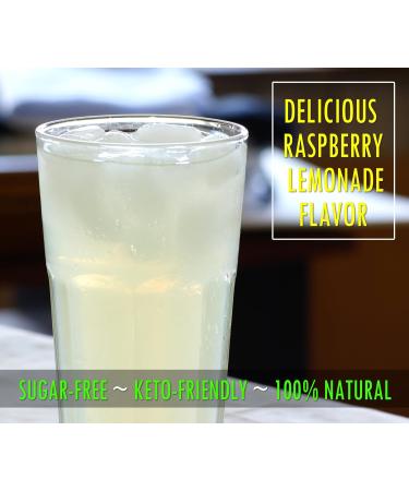 PhysiVantage Flow Electrolyte Powder + BCAAs Keto | Sugar-Free Hydration & Muscle Recovery - Vegan Zero-Sugar 40 Servings Raspberry Lemonade - Buy Online on GoSupps.com