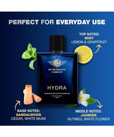 AARVVINTA CRAFT Fragrance Company Hydra Handcrafted Elite Fragrance EDP Perfume For Men - 100ml | Premium Long Lasting Fragrance Perfume | Gift for Husband Boyfriend - Buy Online on GoSupps.com