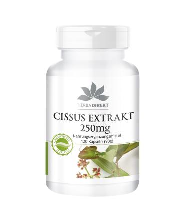 Cissus Extract 250mg 20% ketosterones Vegan 120 Capsules | HERBADIREKT by Warnke Vitalstoffe