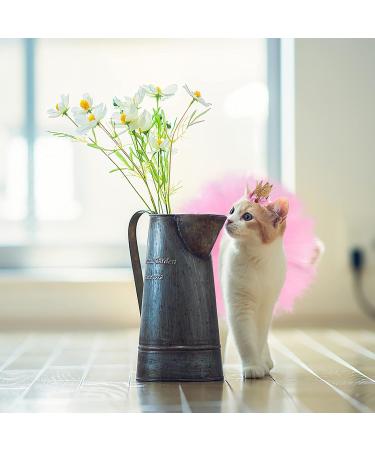 Nicoone Dog Tutu Rock Fly Crown Hat Set | Cute 3-Piece Outfit for Small Dogs & Cats | Perfect Dog Party Gift - Buy Online on GoSupps.com